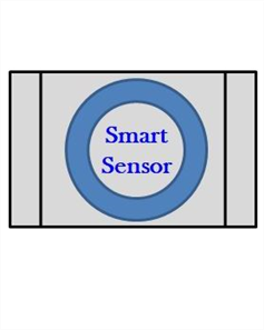 Smart Sensor