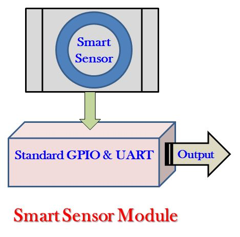 Smart Sensor